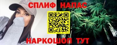 крисы Кимры