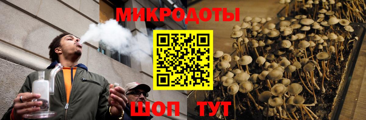 Галлюциногенные грибы мухоморы Кострома
